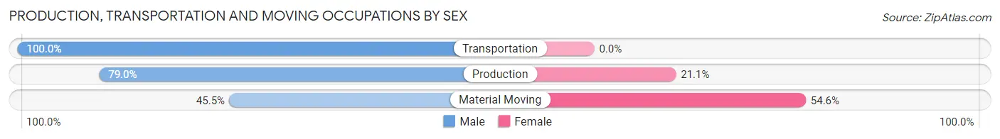 Production, Transportation and Moving Occupations by Sex in Zip Code 69045