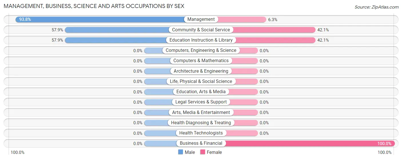 Management, Business, Science and Arts Occupations by Sex in Zip Code 69133