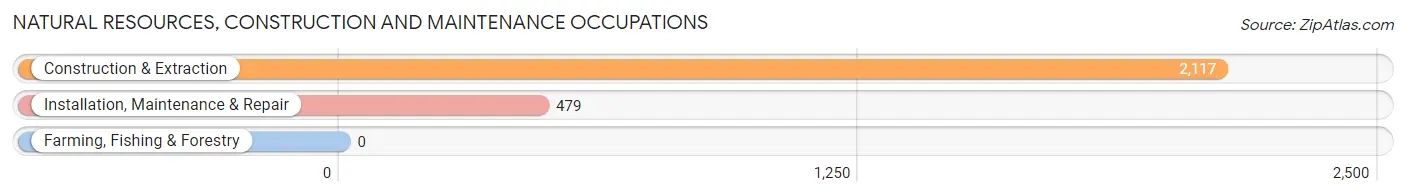 Natural Resources, Construction and Maintenance Occupations in Zip Code 70001