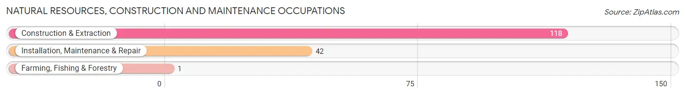 Natural Resources, Construction and Maintenance Occupations in Zip Code 70116