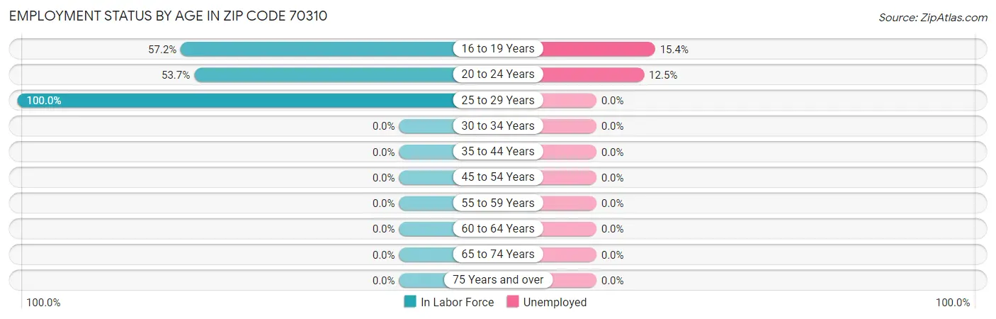 Employment Status by Age in Zip Code 70310