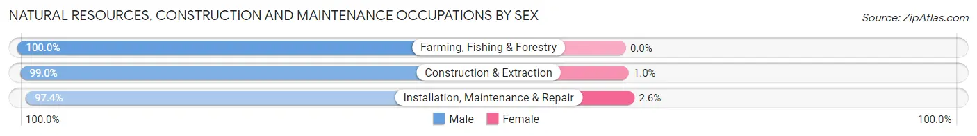 Natural Resources, Construction and Maintenance Occupations by Sex in Zip Code 70546