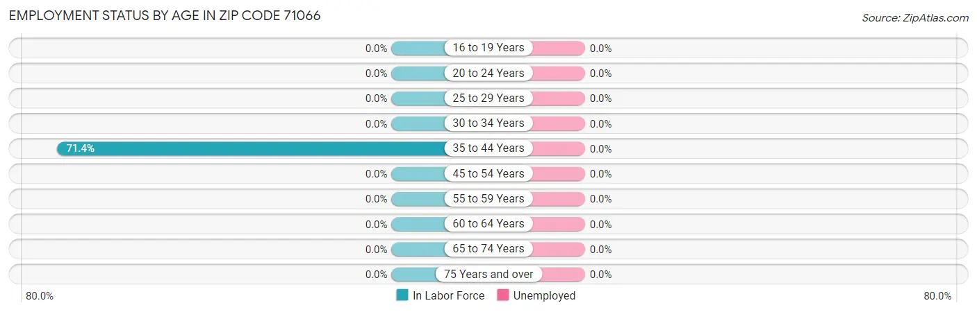 Employment Status by Age in Zip Code 71066