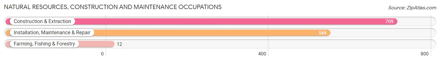 Natural Resources, Construction and Maintenance Occupations in Zip Code 71112