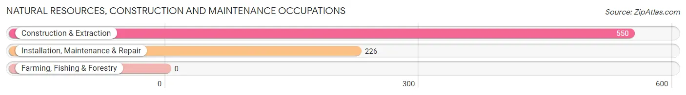 Natural Resources, Construction and Maintenance Occupations in Zip Code 71118