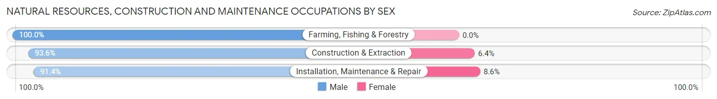 Natural Resources, Construction and Maintenance Occupations by Sex in Zip Code 71334