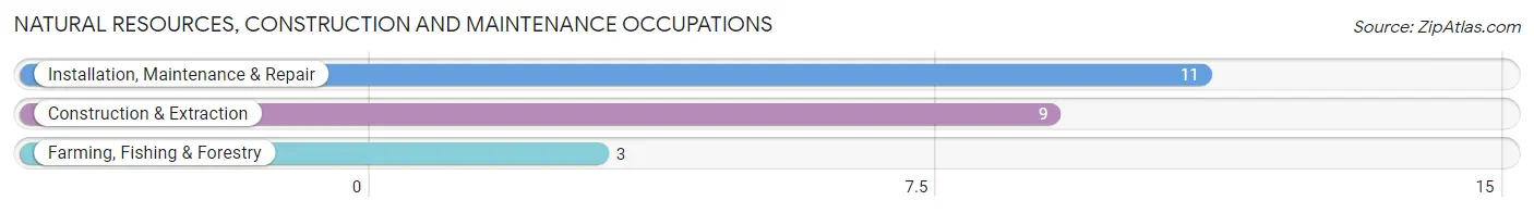 Natural Resources, Construction and Maintenance Occupations in Zip Code 71416