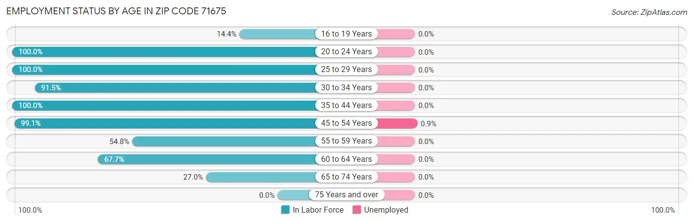 Employment Status by Age in Zip Code 71675