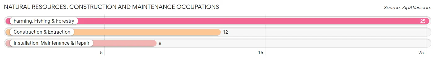 Natural Resources, Construction and Maintenance Occupations in Zip Code 71720