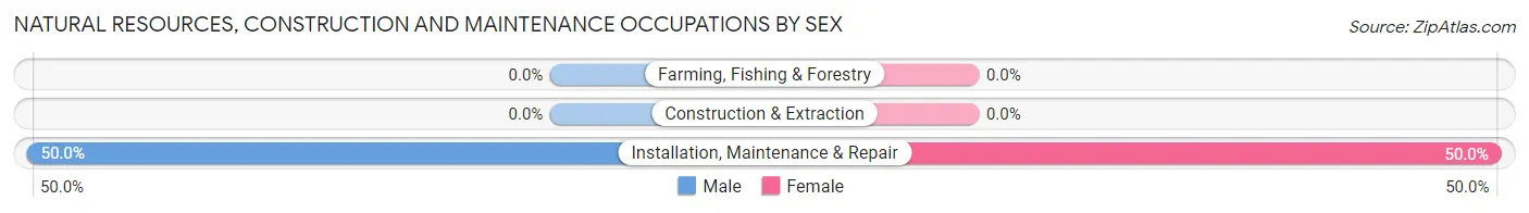 Natural Resources, Construction and Maintenance Occupations by Sex in Zip Code 71724