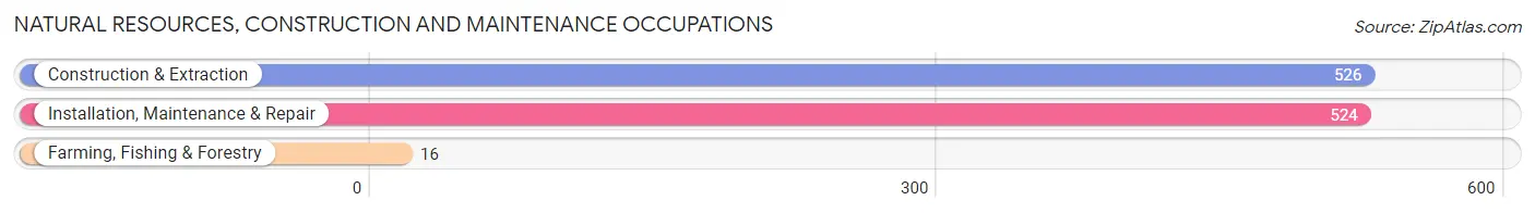 Natural Resources, Construction and Maintenance Occupations in Zip Code 71730