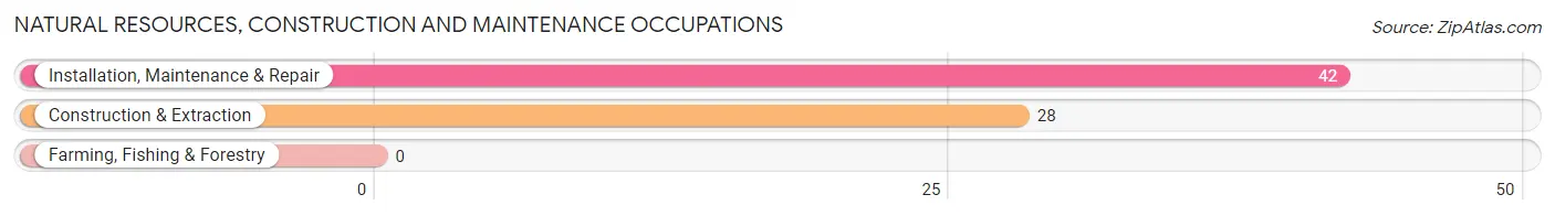 Natural Resources, Construction and Maintenance Occupations in Zip Code 71834