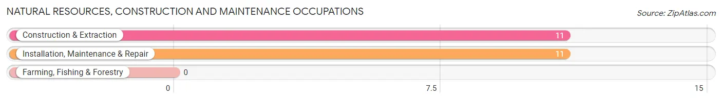 Natural Resources, Construction and Maintenance Occupations in Zip Code 71861