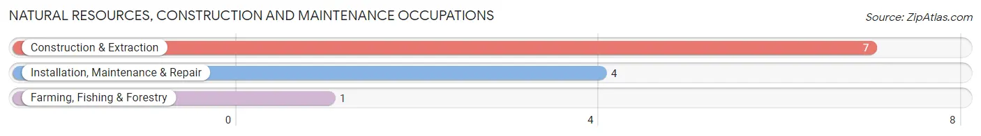 Natural Resources, Construction and Maintenance Occupations in Zip Code 71865