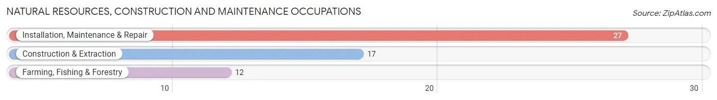 Natural Resources, Construction and Maintenance Occupations in Zip Code 71959