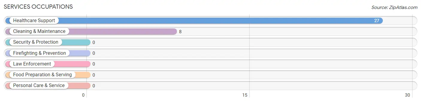 Services Occupations in Zip Code 72030