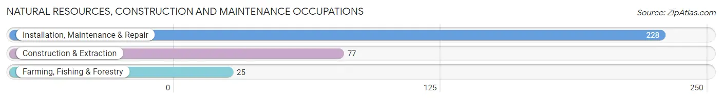 Natural Resources, Construction and Maintenance Occupations in Zip Code 72031