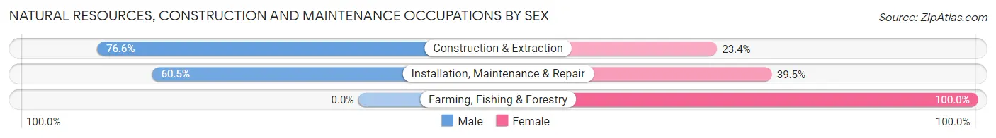 Natural Resources, Construction and Maintenance Occupations by Sex in Zip Code 72065