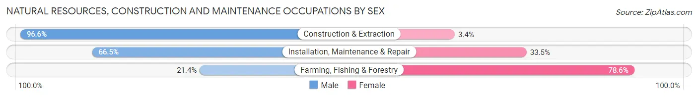 Natural Resources, Construction and Maintenance Occupations by Sex in Zip Code 72104