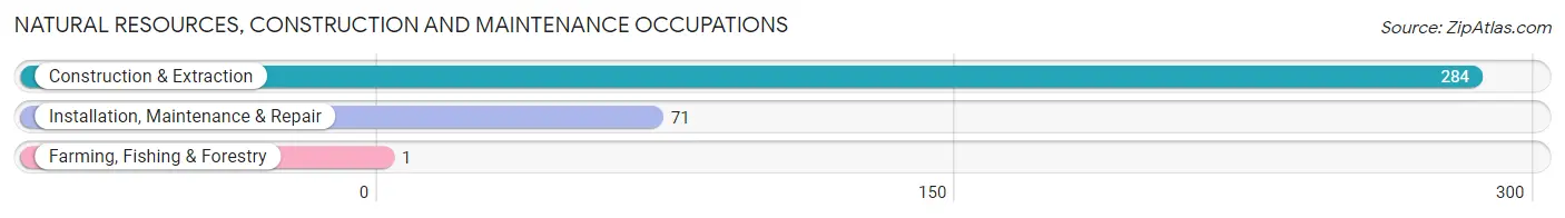 Natural Resources, Construction and Maintenance Occupations in Zip Code 72117