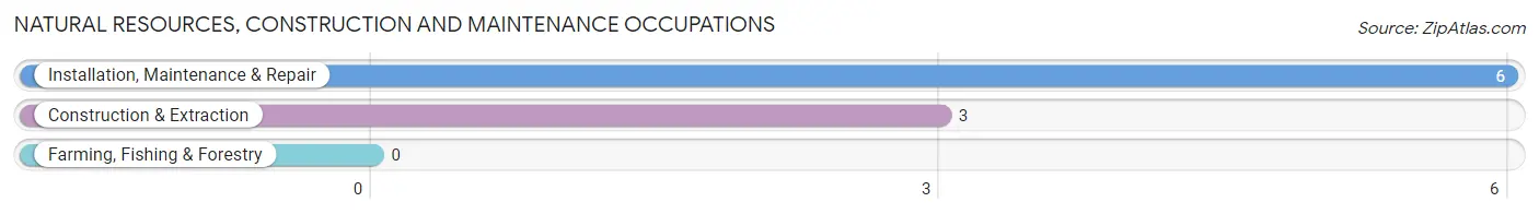 Natural Resources, Construction and Maintenance Occupations in Zip Code 72339