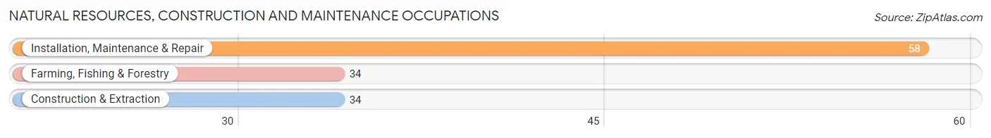 Natural Resources, Construction and Maintenance Occupations in Zip Code 72473