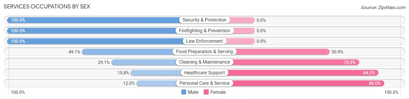 Services Occupations by Sex in Zip Code 72513