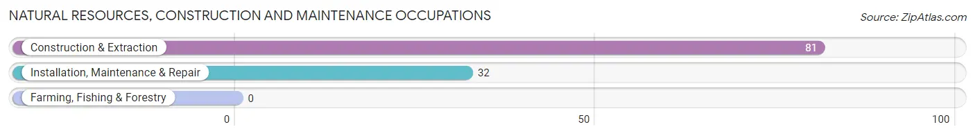 Natural Resources, Construction and Maintenance Occupations in Zip Code 72529