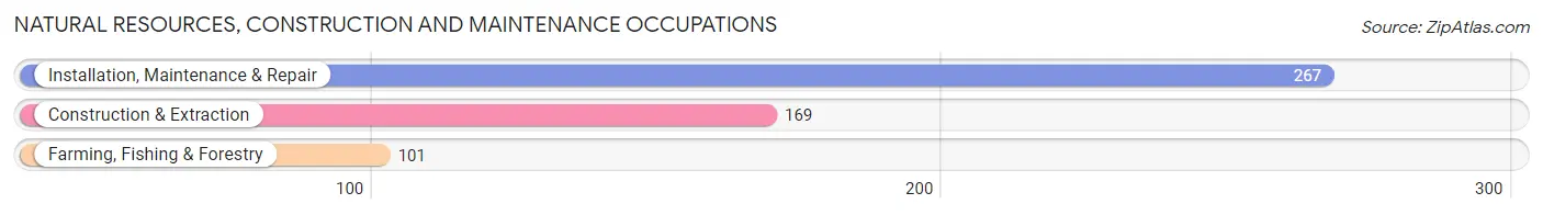 Natural Resources, Construction and Maintenance Occupations in Zip Code 72638