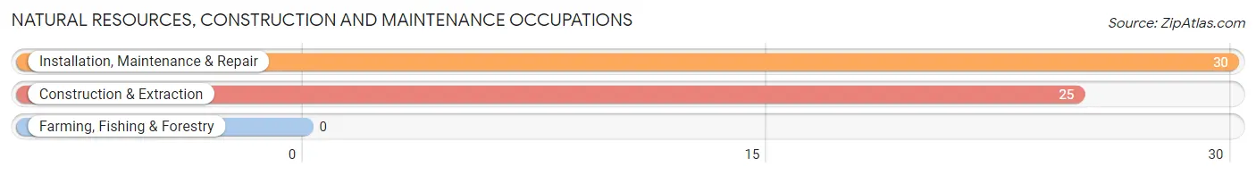 Natural Resources, Construction and Maintenance Occupations in Zip Code 72642