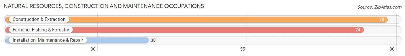 Natural Resources, Construction and Maintenance Occupations in Zip Code 72680