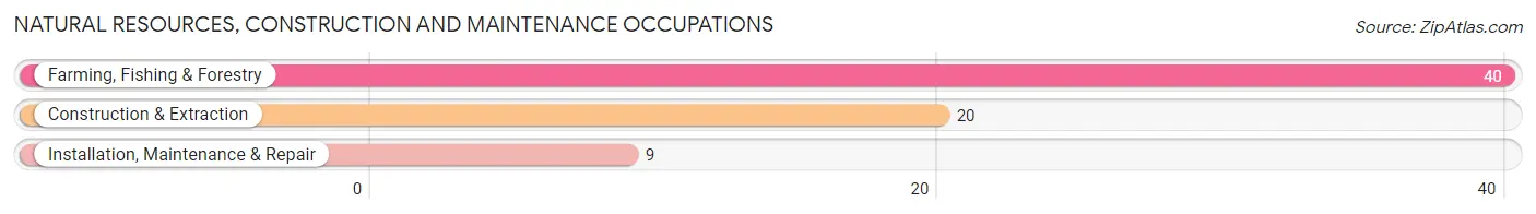 Natural Resources, Construction and Maintenance Occupations in Zip Code 72717