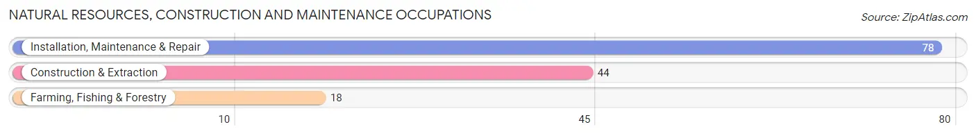 Natural Resources, Construction and Maintenance Occupations in Zip Code 72738