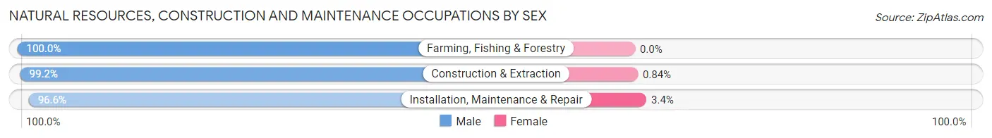 Natural Resources, Construction and Maintenance Occupations by Sex in Zip Code 72761