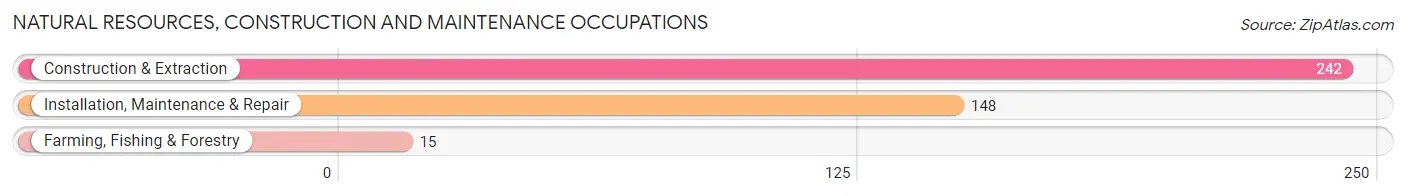 Natural Resources, Construction and Maintenance Occupations in Zip Code 72774