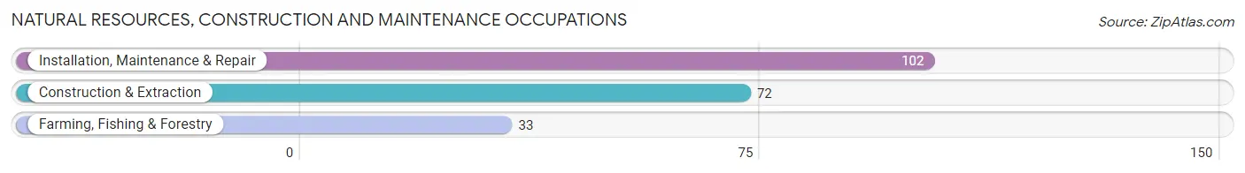 Natural Resources, Construction and Maintenance Occupations in Zip Code 72823