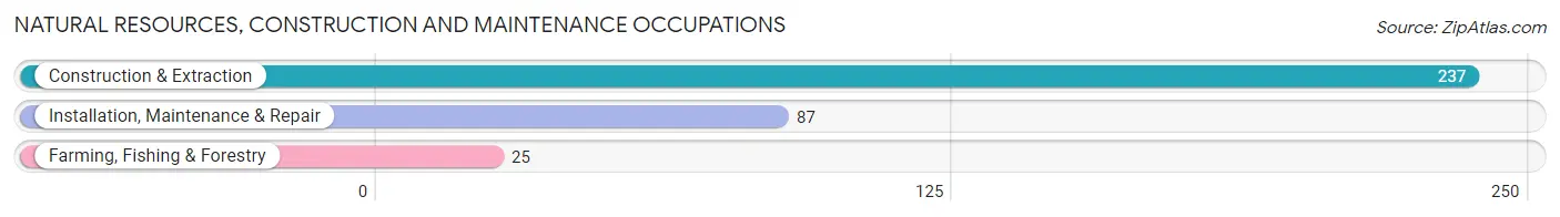 Natural Resources, Construction and Maintenance Occupations in Zip Code 72834