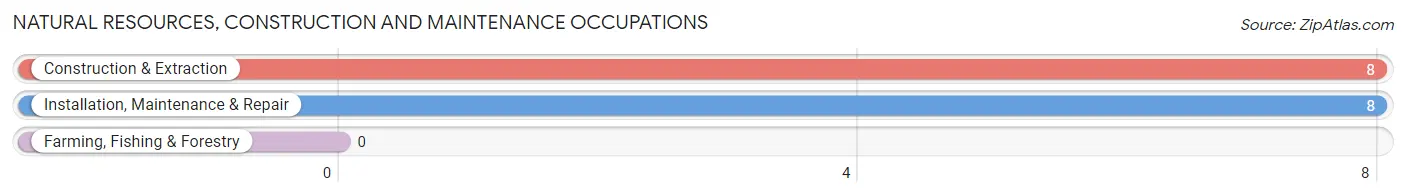 Natural Resources, Construction and Maintenance Occupations in Zip Code 72845