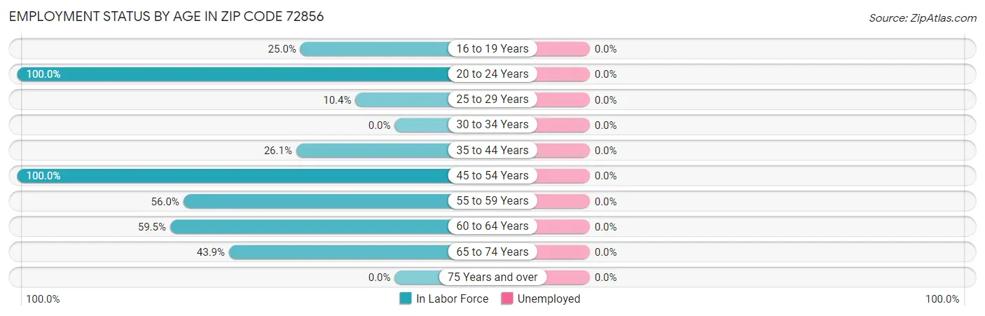 Employment Status by Age in Zip Code 72856