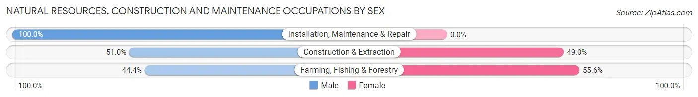 Natural Resources, Construction and Maintenance Occupations by Sex in Zip Code 72856