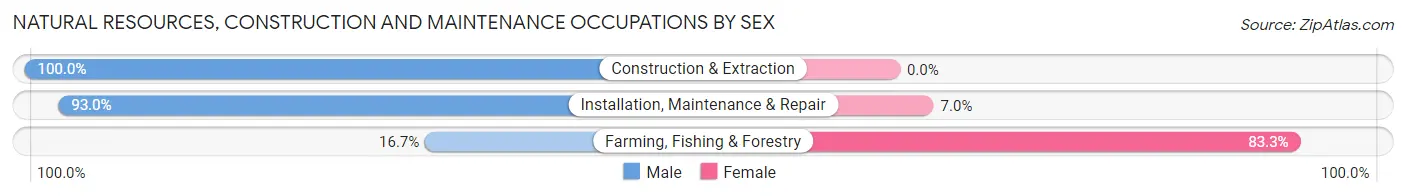 Natural Resources, Construction and Maintenance Occupations by Sex in Zip Code 72863