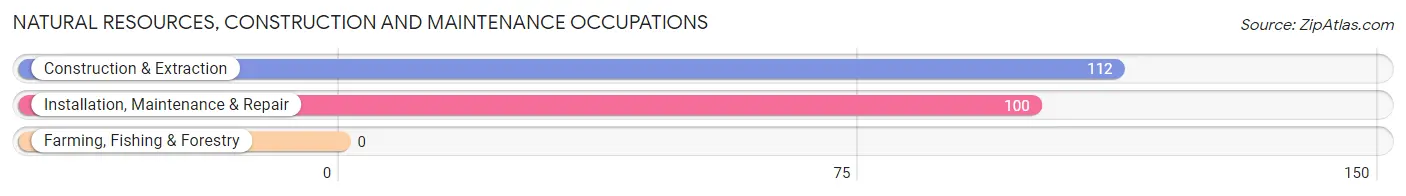 Natural Resources, Construction and Maintenance Occupations in Zip Code 72908