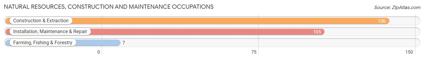 Natural Resources, Construction and Maintenance Occupations in Zip Code 73030