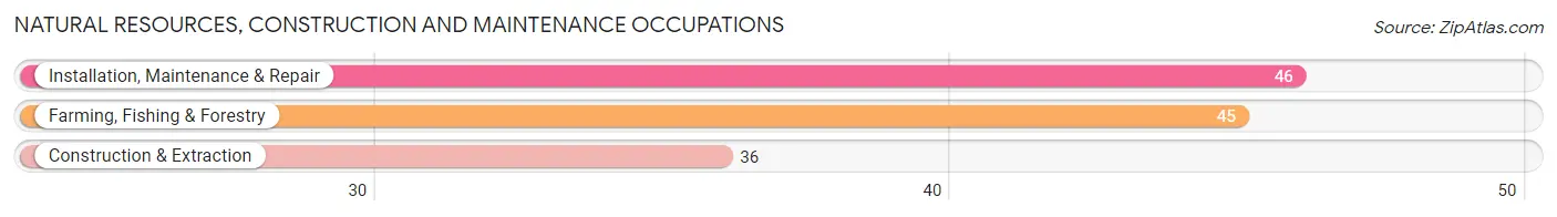 Natural Resources, Construction and Maintenance Occupations in Zip Code 73061