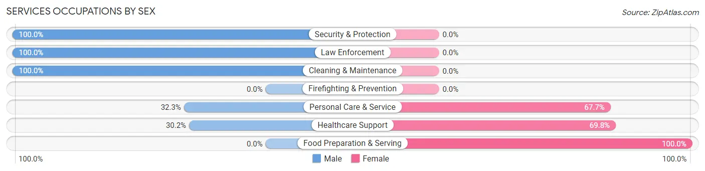 Services Occupations by Sex in Zip Code 73128