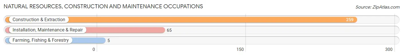 Natural Resources, Construction and Maintenance Occupations in Zip Code 73463