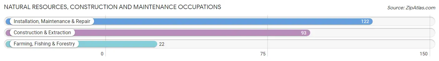 Natural Resources, Construction and Maintenance Occupations in Zip Code 73527