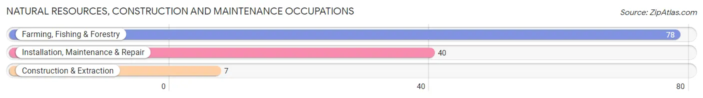 Natural Resources, Construction and Maintenance Occupations in Zip Code 73550