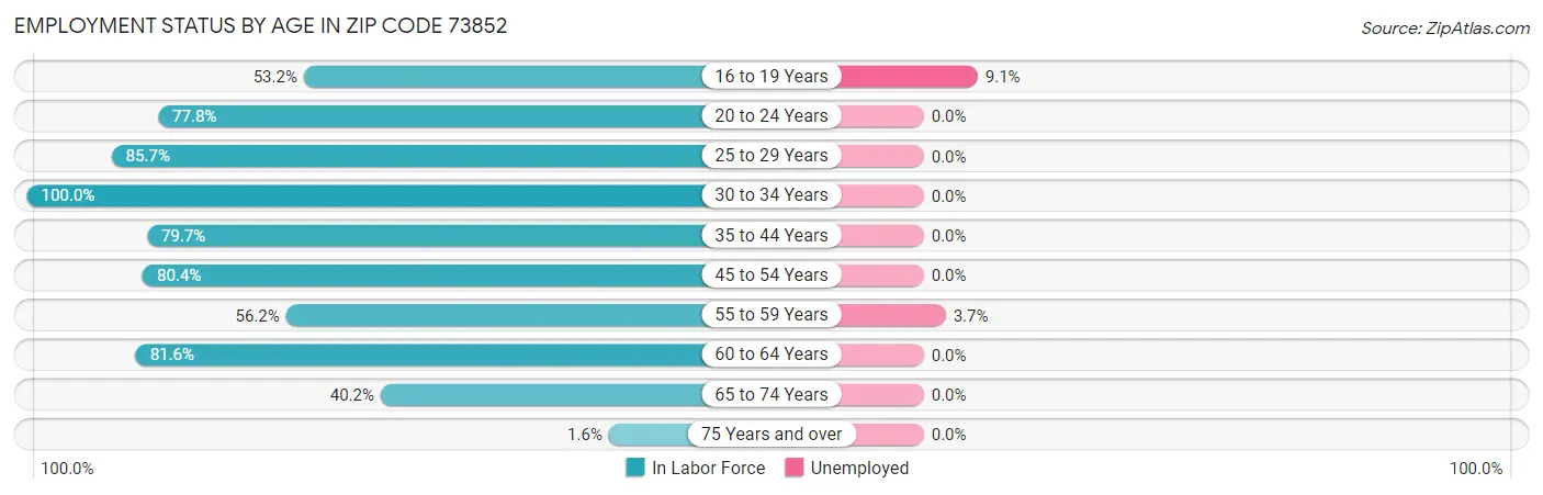 Employment Status by Age in Zip Code 73852