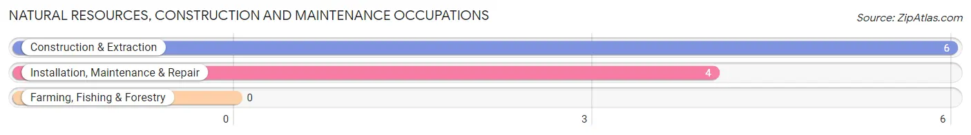 Natural Resources, Construction and Maintenance Occupations in Zip Code 74001